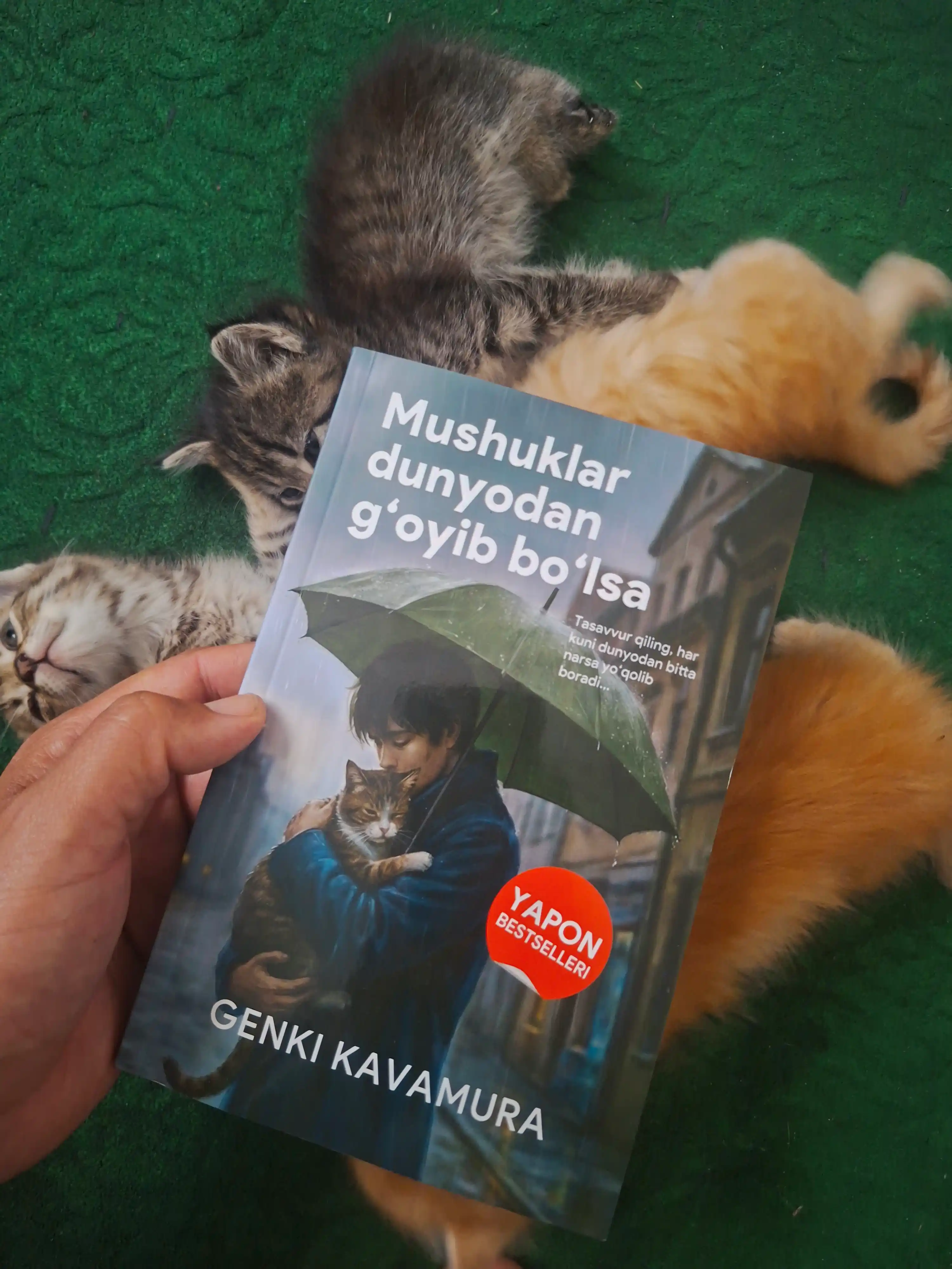 Если все кошки в мире исчезнут, Генки Кавамура