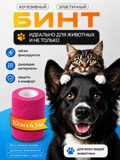 Фуксия