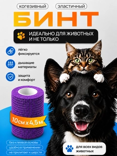 Фиолетовый