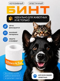 Белый