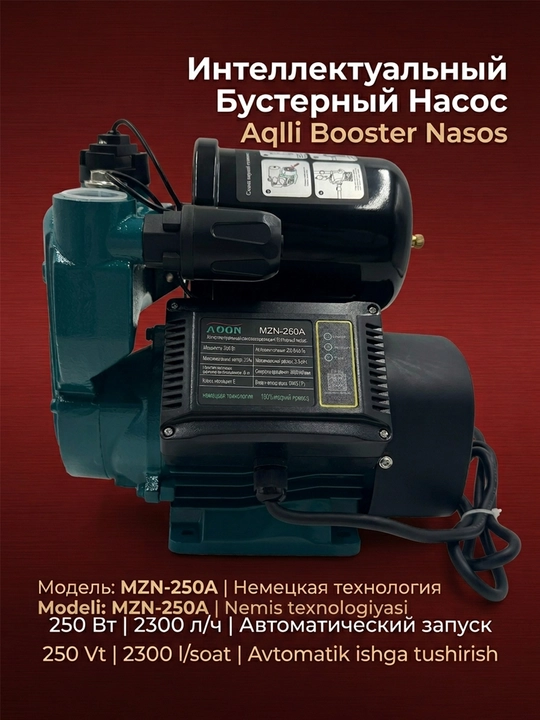 Насос водяной, автоматический Лион 250/370/550/750A - 