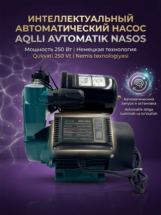 Avtomatik suv pompasi, quruq himoyalangan - 