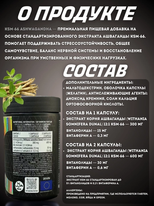 Ashvaganda KSM66 7SABER, 60 porsiya