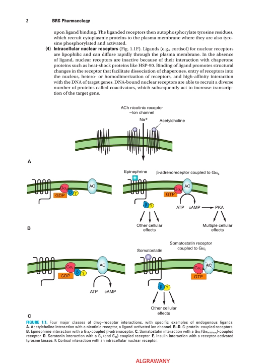 PHARMACOLOGY  Seventh Edition — Sara Lerxenfeldt