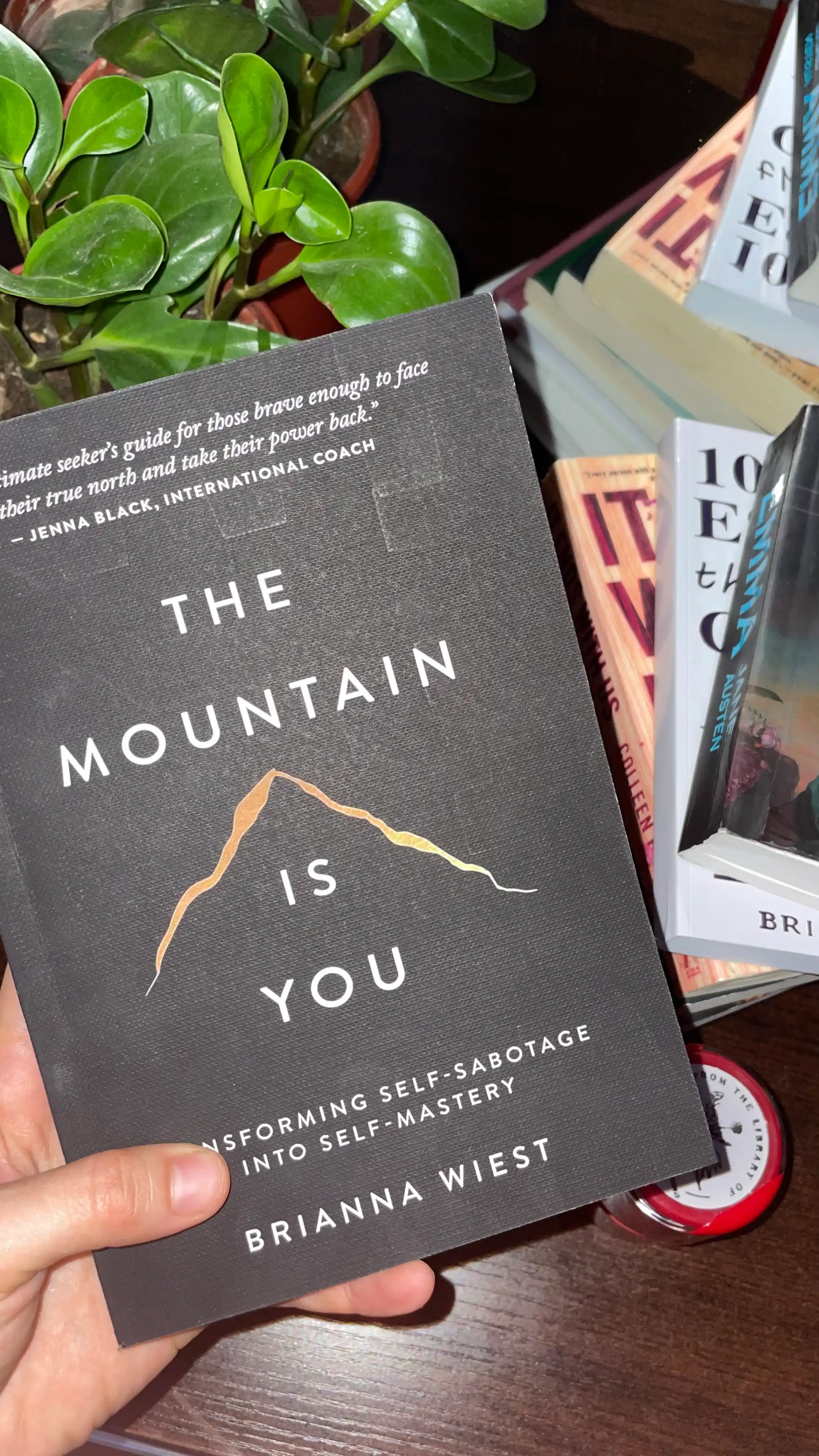 The Mountain Is You Brianna wiest