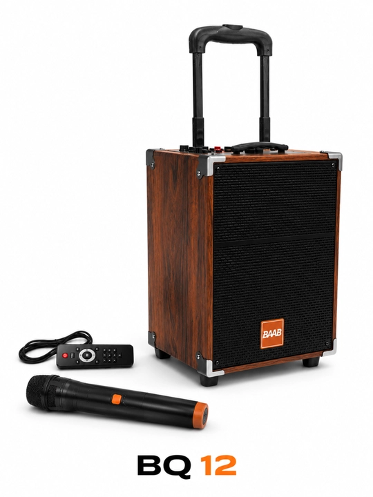 B-Q12 ko‘chma karnay, mikrofon va pultli Bluetooth karaoke, simsiz bq12
