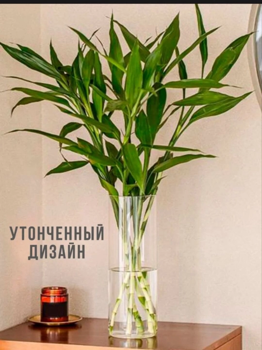 Shaffof silindrsimon akril (pleksiglas) vazalar, uch o'lchamda