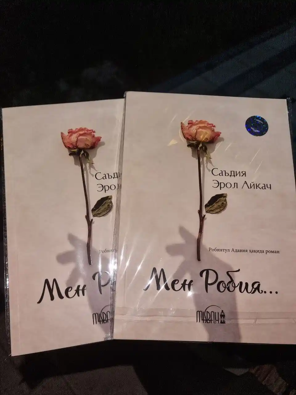 Саъдия Эрол Айкач: Мен Робия