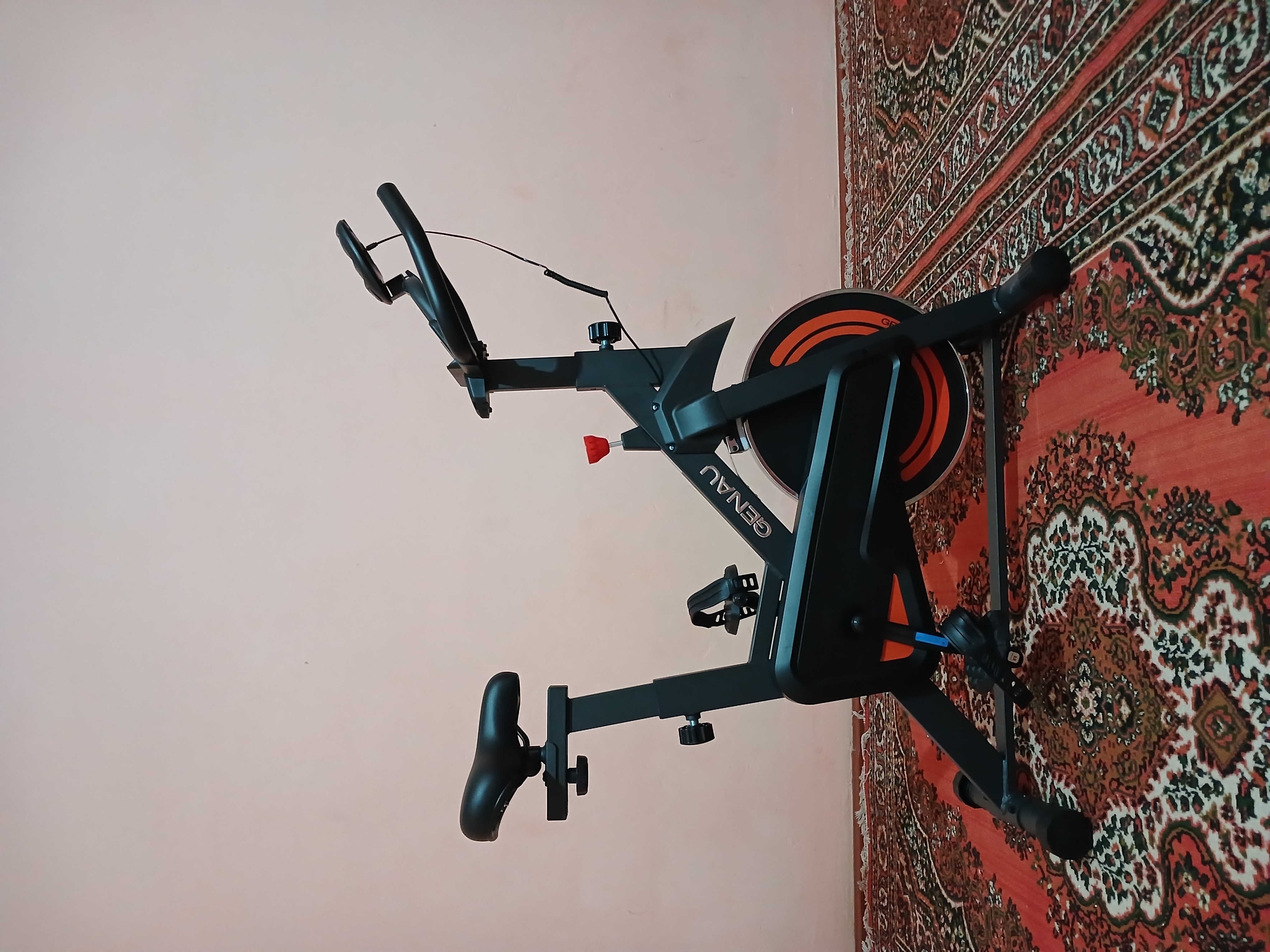 Велотренажер Genau Spin Bike W101, маховик 8 кг, максимальный вес 120 кг *SB1-05A
