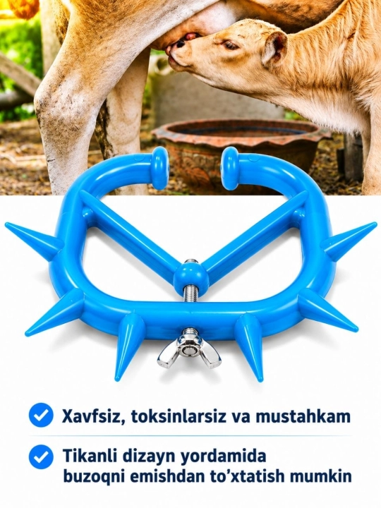 Tikanli burun halqa - Buzoqni emishdan to‘xtatuvchi