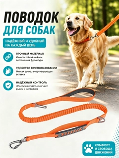 Оранжевый
