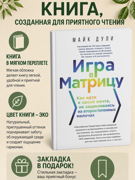 Игра в матрицу. Как идти к свое мечте, не зацикливаясь на второстепенных мелочах: Майк Дули - 
