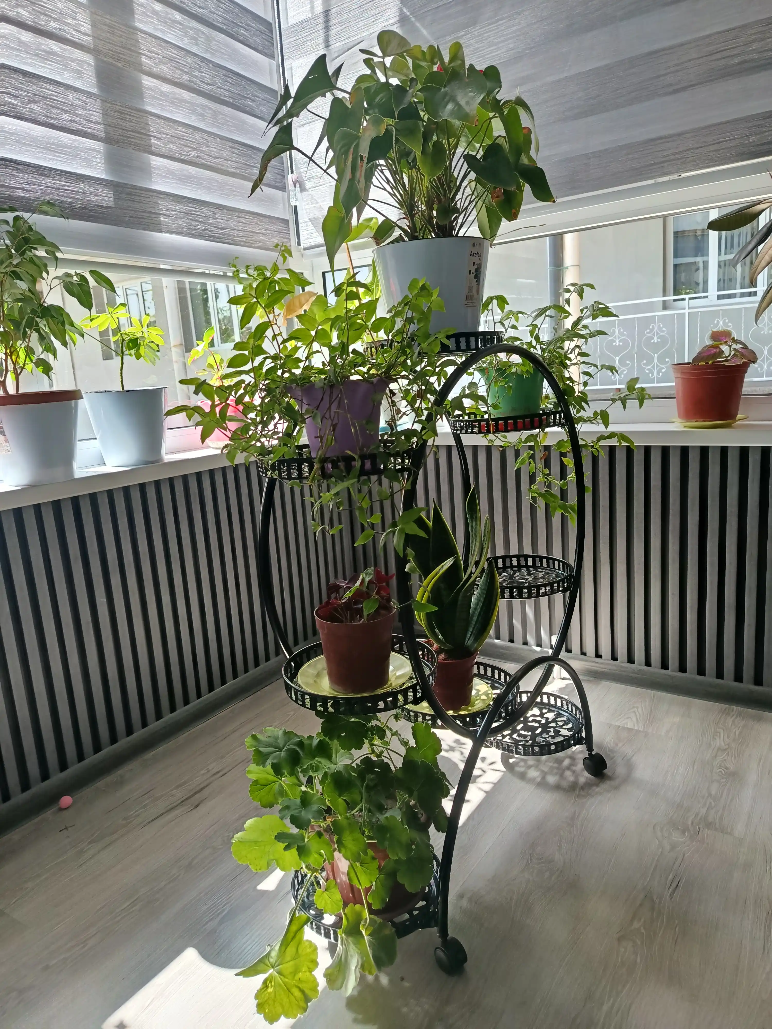 Temirdan yasalgan gul qadagi bog' balkon xona uchun