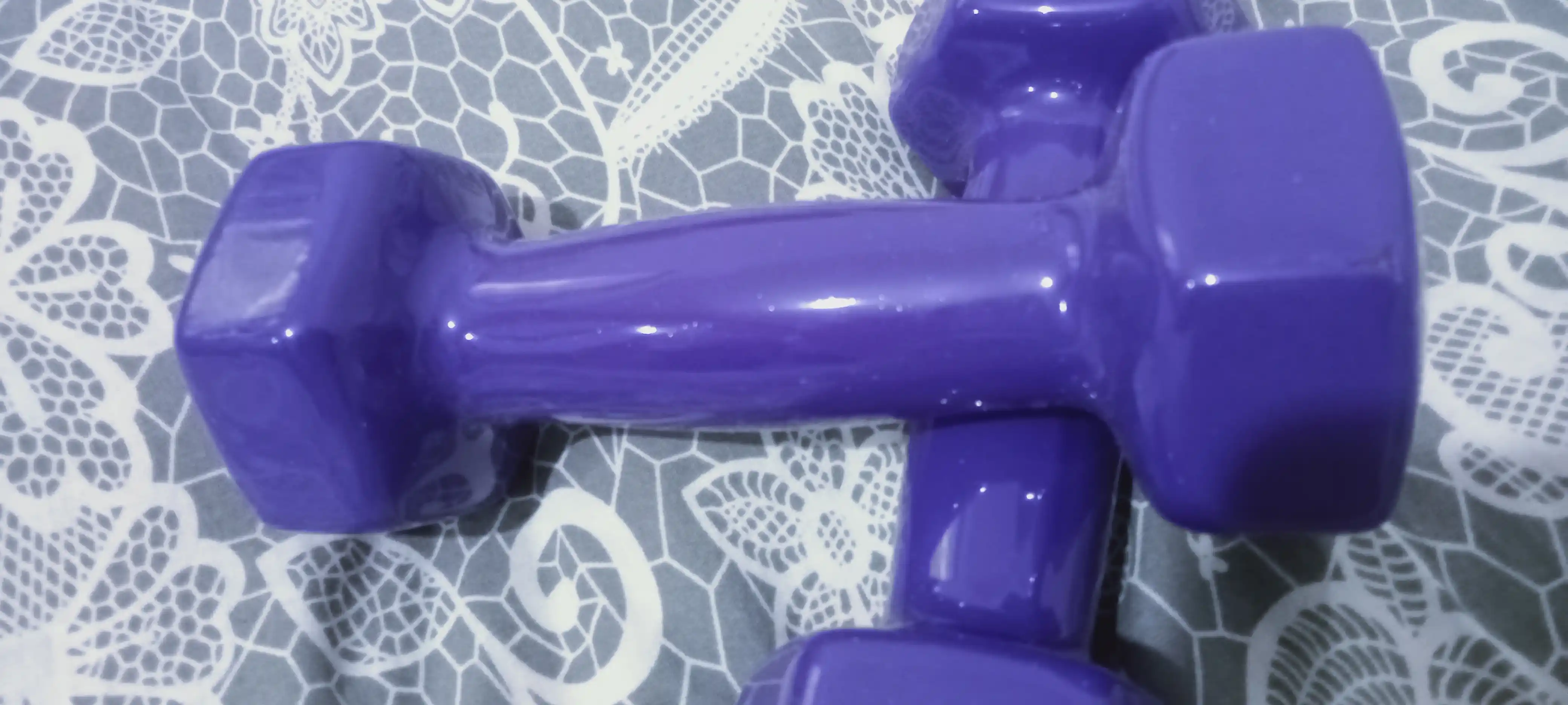 Vinil gantellar 0.5 kg dan 4 kg gacha, to'plamda 2 dona