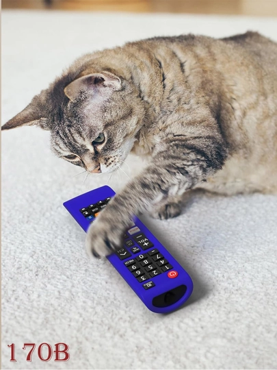 Silikon g'ilof Samsung Smart TV pulti uchun  - 