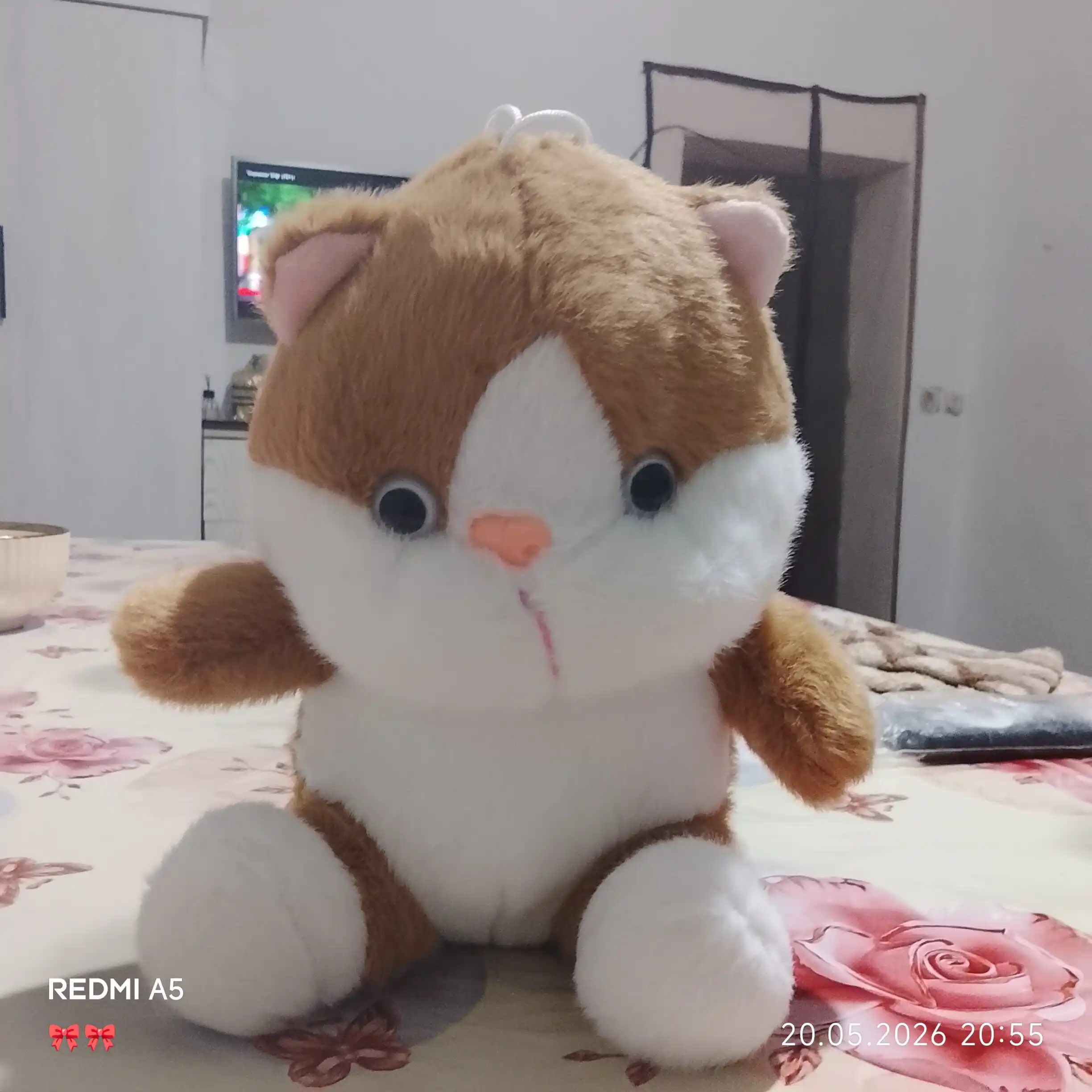 Мягкая игрушка кошка Страйп, 25 см, с декоративным ошейником