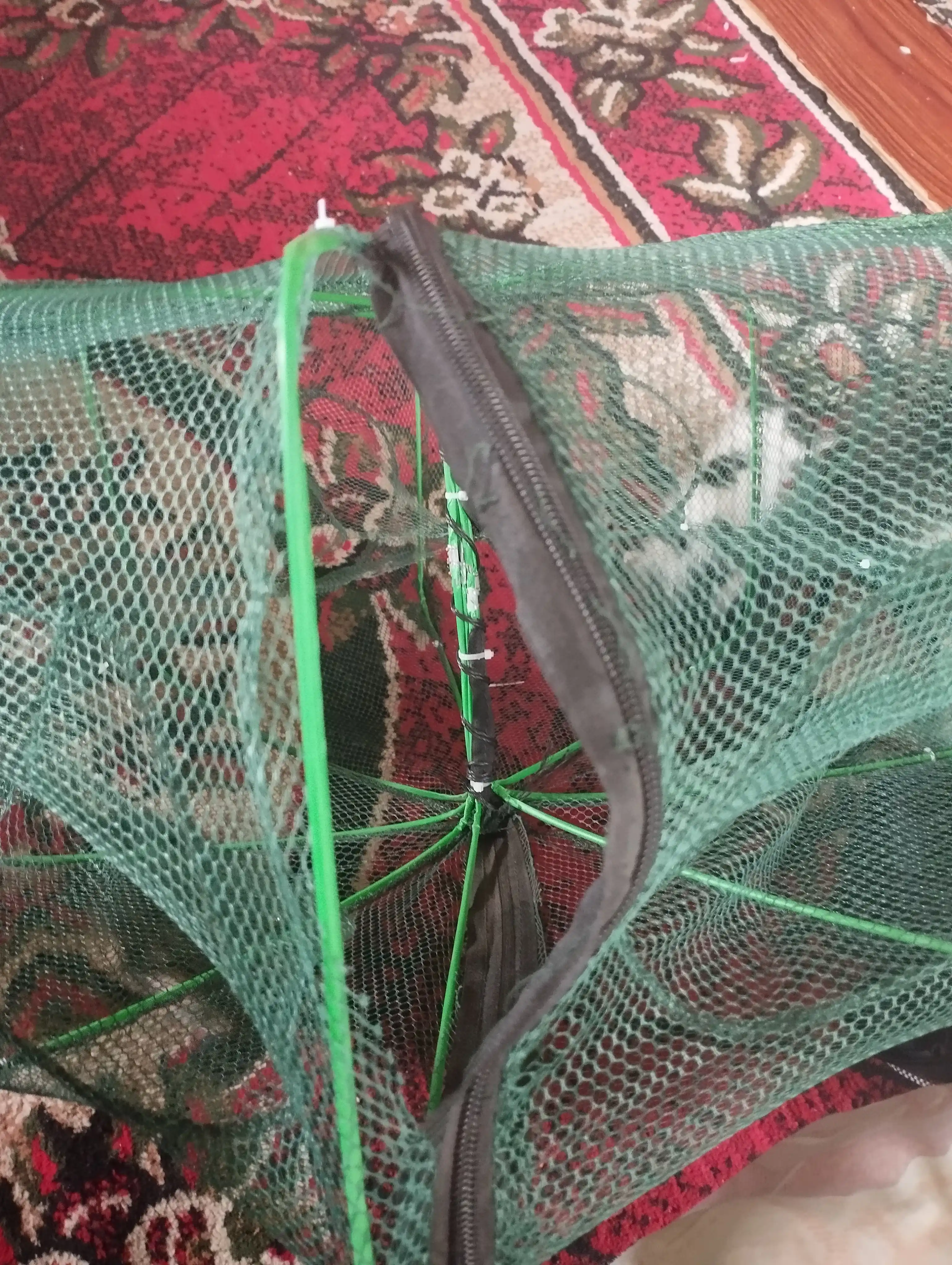 Dumaloq qisqichbaqalar