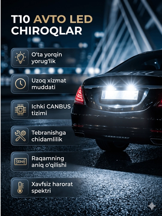 Светодиодная лампа флешка T10 LED 12V-24V для подсветки автомобильного номера машины 