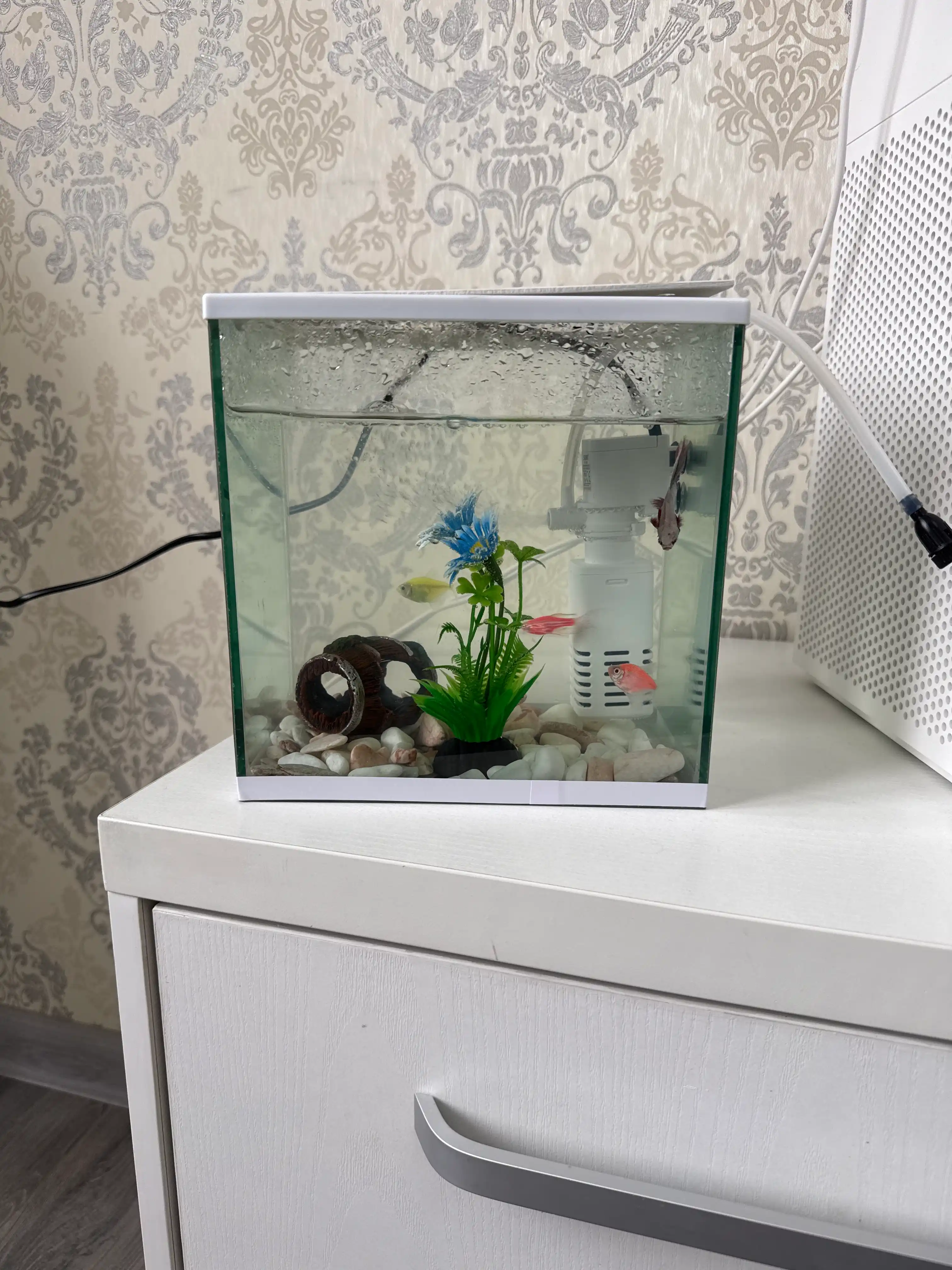 Akvarium