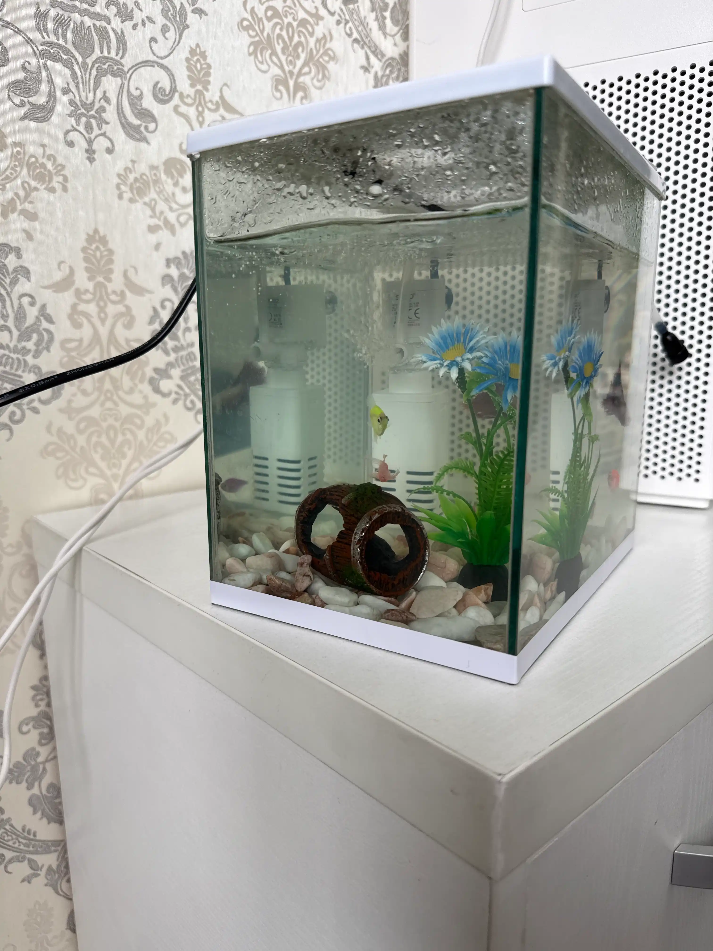 Akvarium