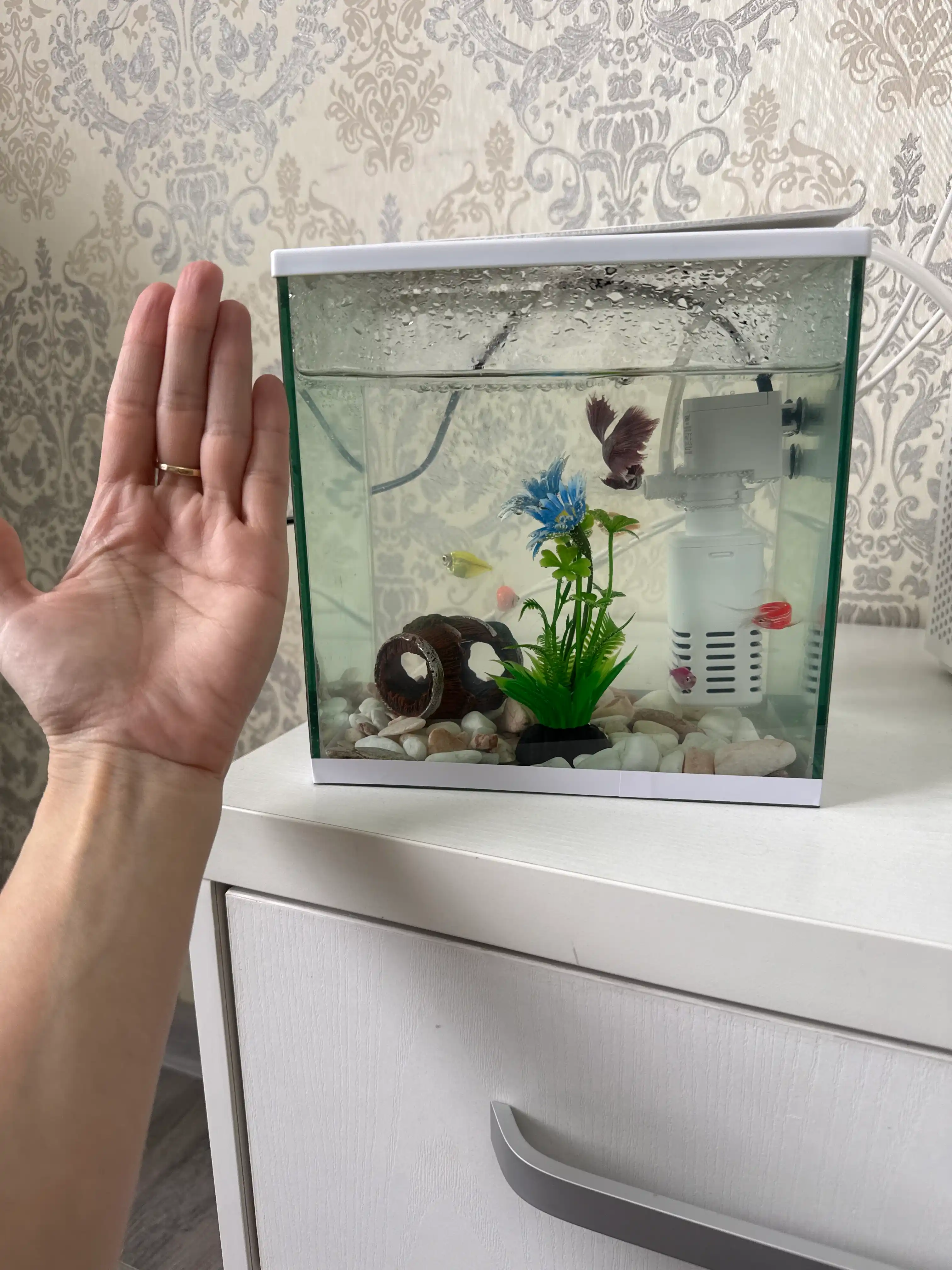 Akvarium