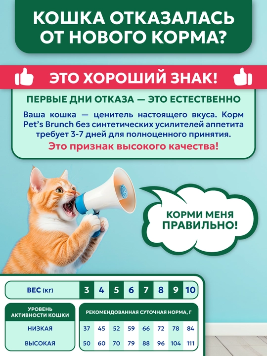 Корм сухой для кошек "PET’S BRUNCH HAIRBALL REMOVE", для вывода шерсти с индейкой