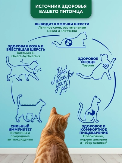 Корм сухой для кошек "PET’S BRUNCH HAIRBALL REMOVE", для вывода шерсти с индейкой