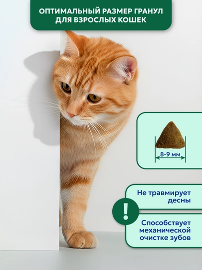 Корм сухой для кошек "PET’S BRUNCH HAIRBALL REMOVE", для вывода шерсти с индейкой