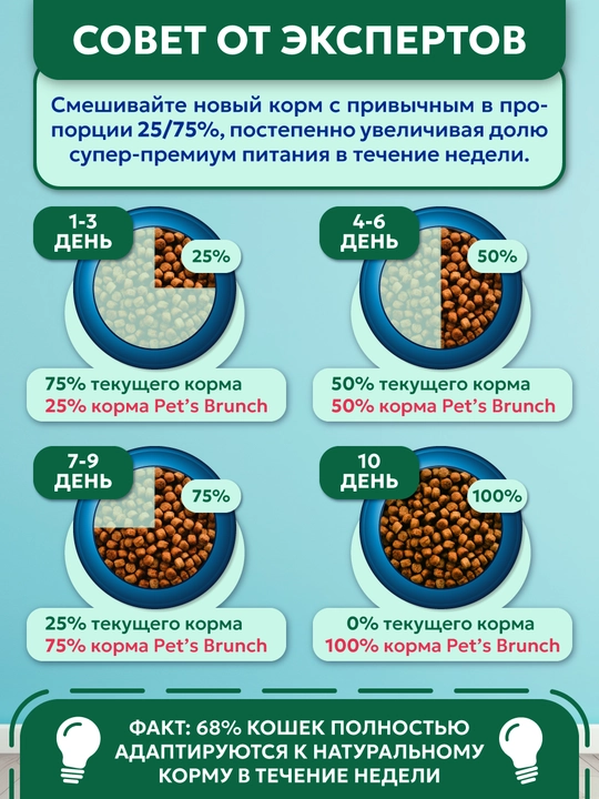 Корм сухой для кошек "PET’S BRUNCH HAIRBALL REMOVE", для вывода шерсти с индейкой