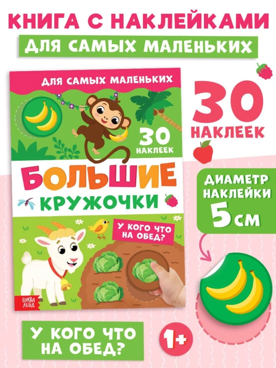 Книги с наклейками для малышей «Большие кружочки», 30+ наклеек, развивающие задания - 