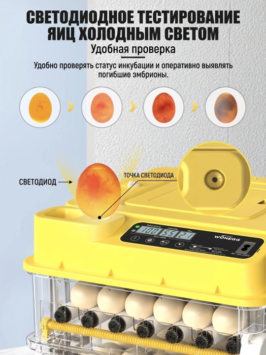 Инкубатор для яиц 220В/12В с автопереворотом и увлажнением — умный инкубатор для цыплят