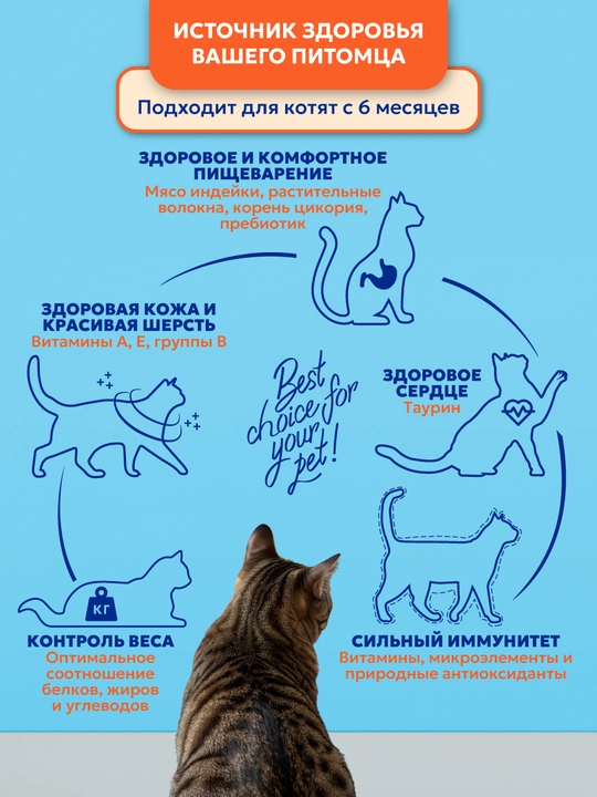 PET’S BRUNCH SENSETIVE tuyoqli ovqat hazm qiladigan mushuklar uchun quruq kuruq taom