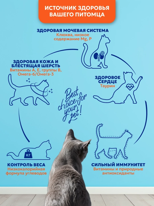 Корм сухой для стерилизованных кошек «PET’S BRUNCH ADULT STERILISED CATS» с печенью