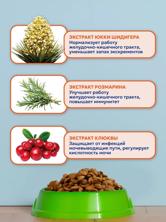 Корм сухой для стерилизованных кошек «PET’S BRUNCH ADULT STERILISED CATS» с печенью