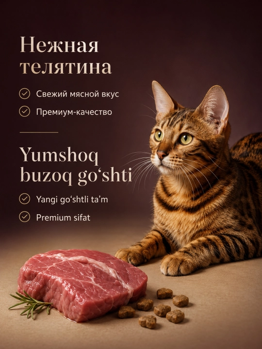 Winner Meat mushuklar uchun quruq yem, shirali mol go‘shti, 300 g