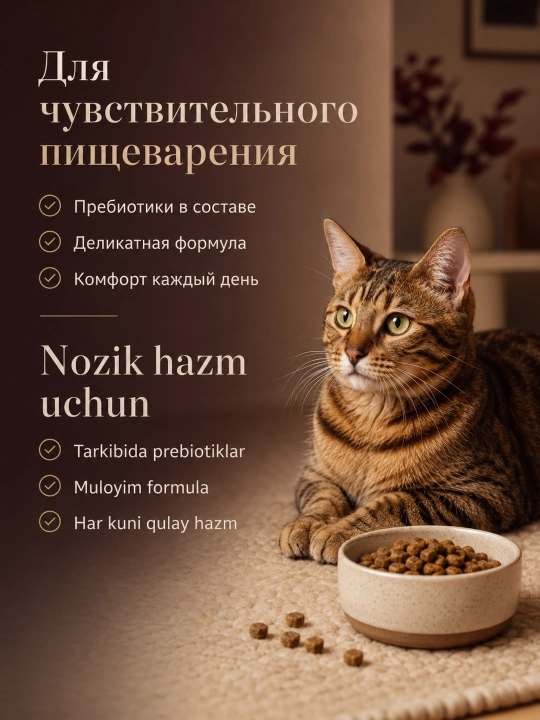 Winner Meat mushuklar uchun quruq yem, shirali mol go‘shti, 300 g