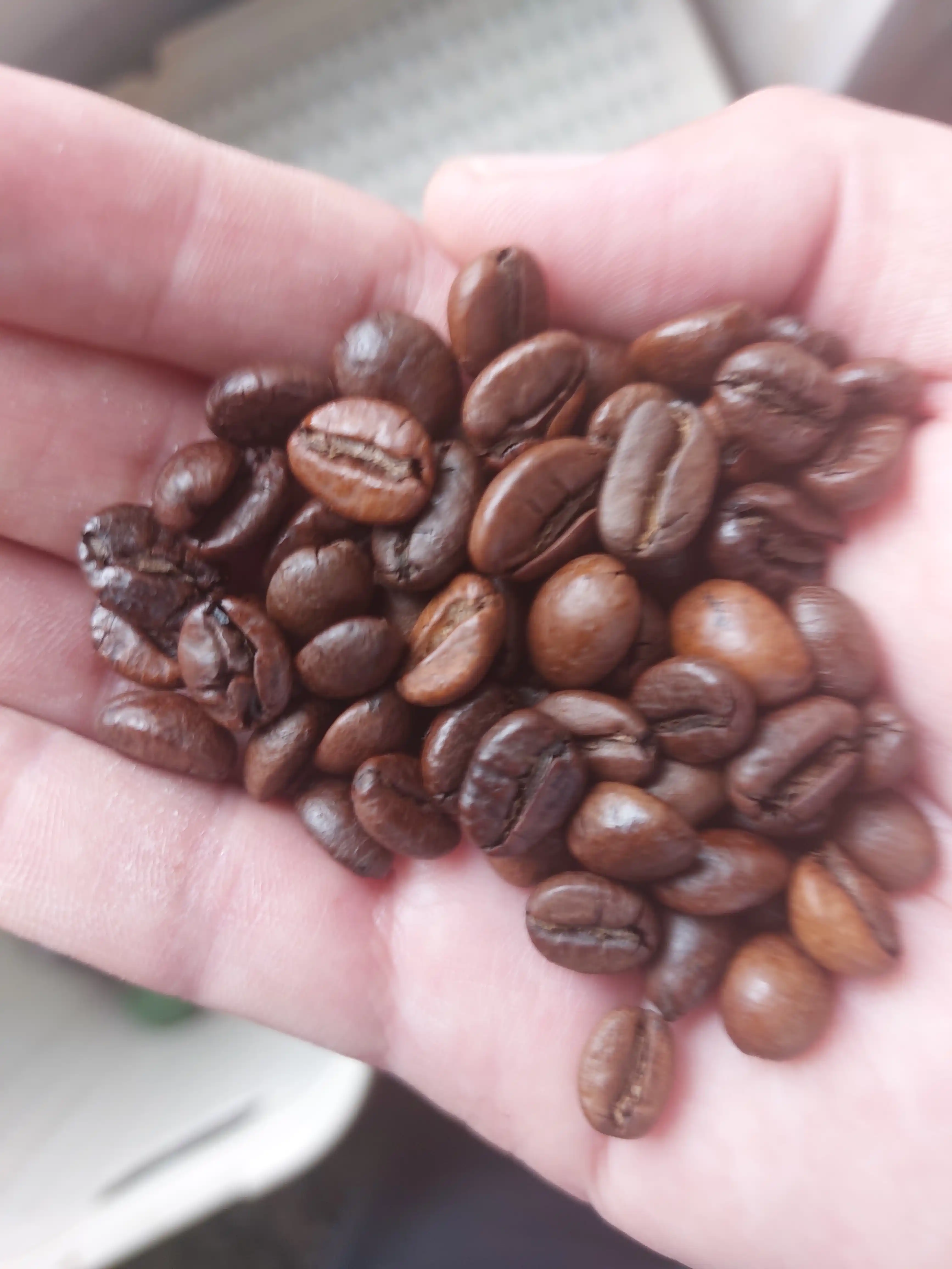 Кофе в зёрнах JUM Espresso Vending, 100 г