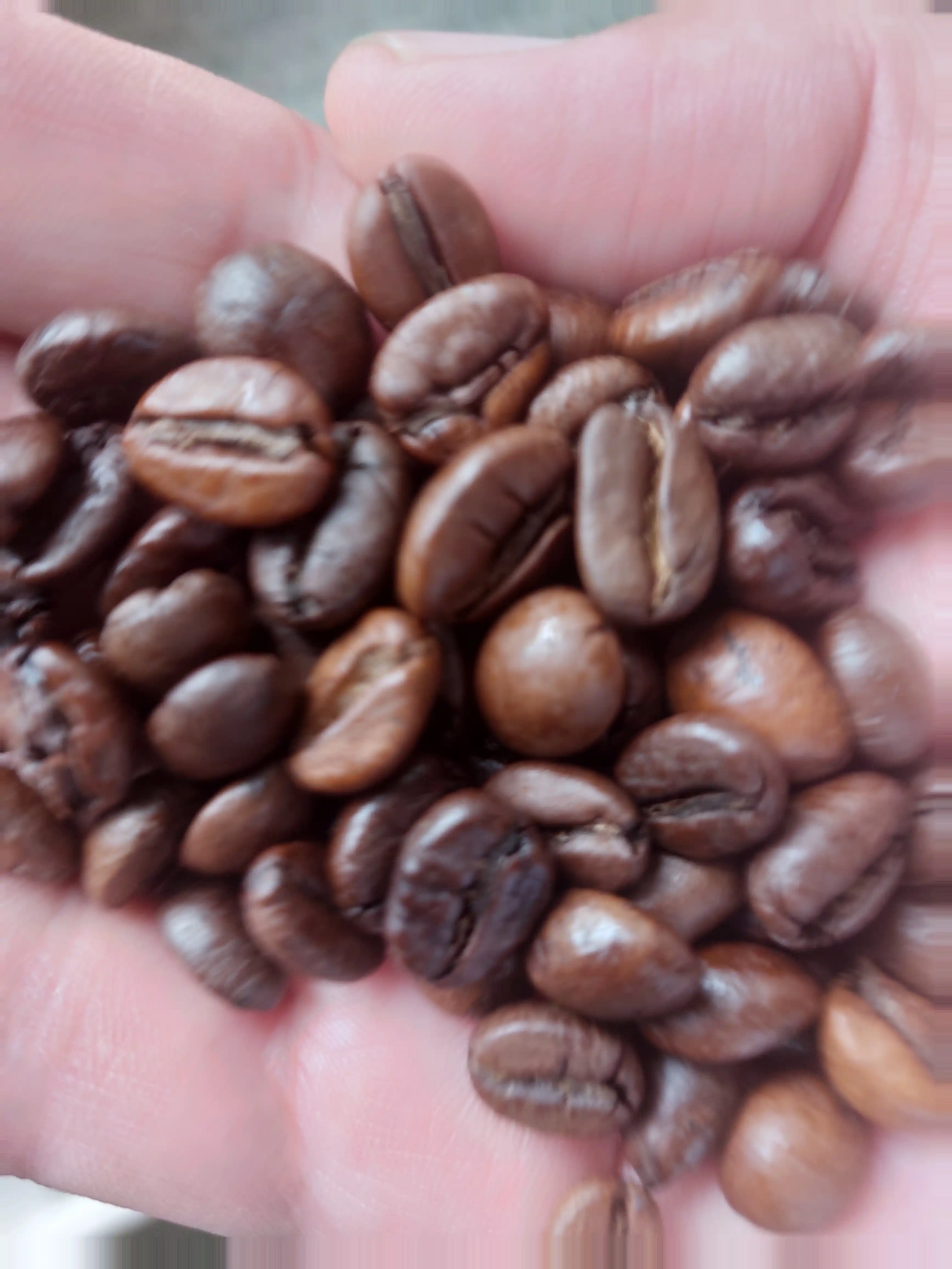 Кофе в зёрнах JUM Espresso Vending, 100 г