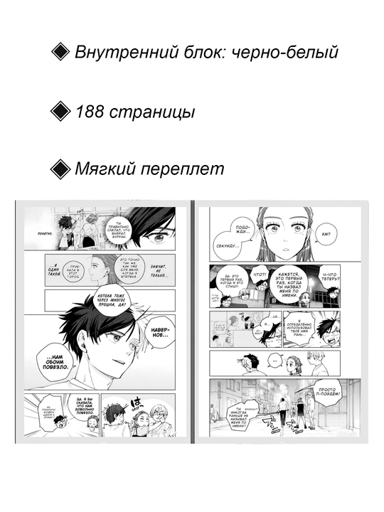 Манга Ветролом, 24 том