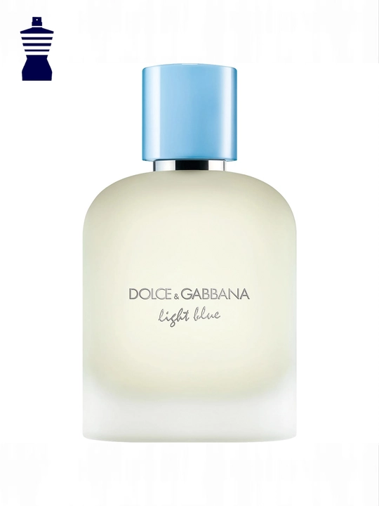 Light Blue Dolce Gabbana pour Homme, 100 мл, унисекс туалетная вода, стойкость 1–2 дня