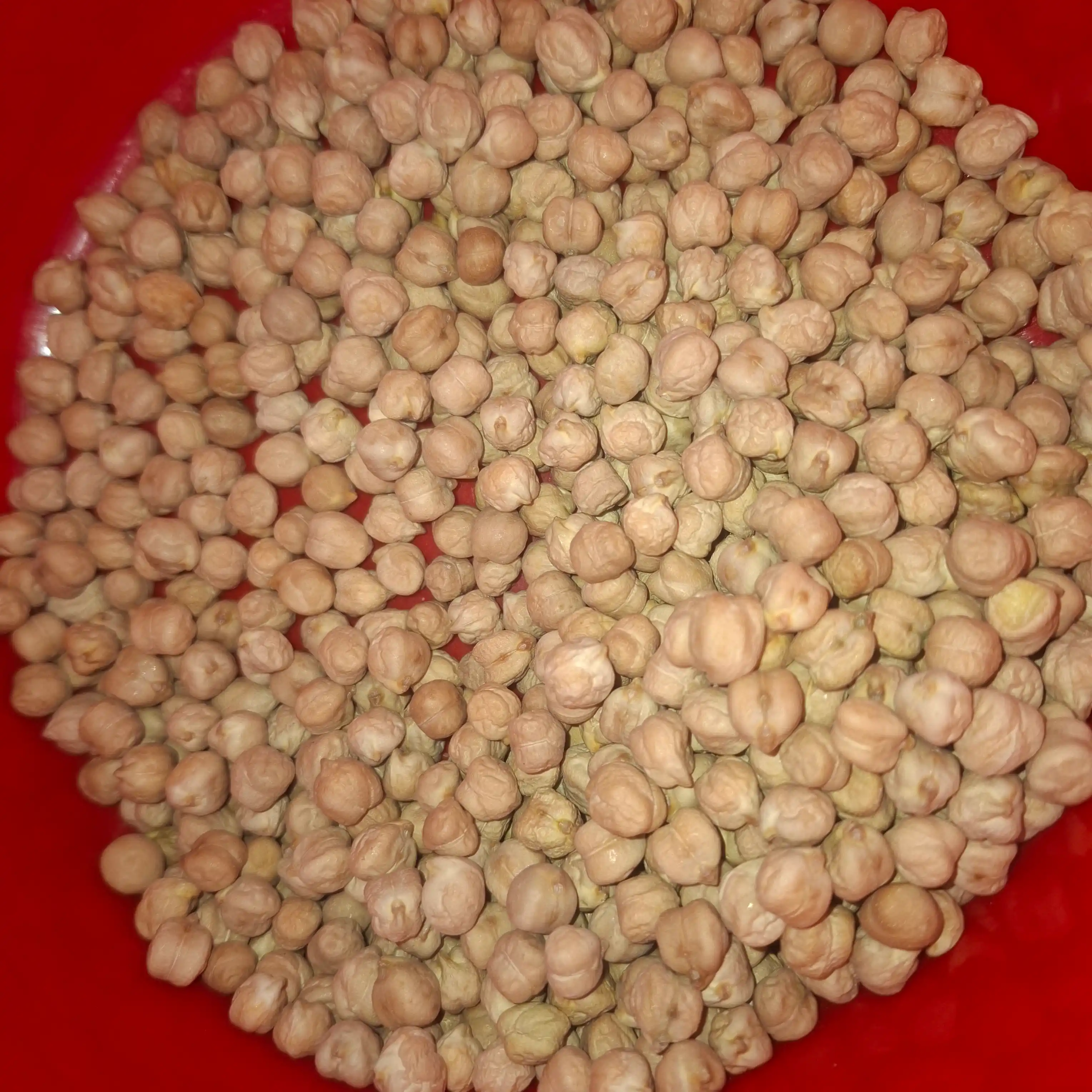 Eron no'xati Oila tanlovi, 900 g