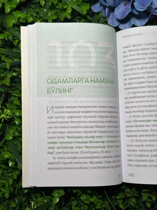 Метин қоялар  Хасан Шамсий Пошо