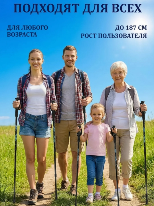 Палки для скандинавской ходьбы телескопические чёрные