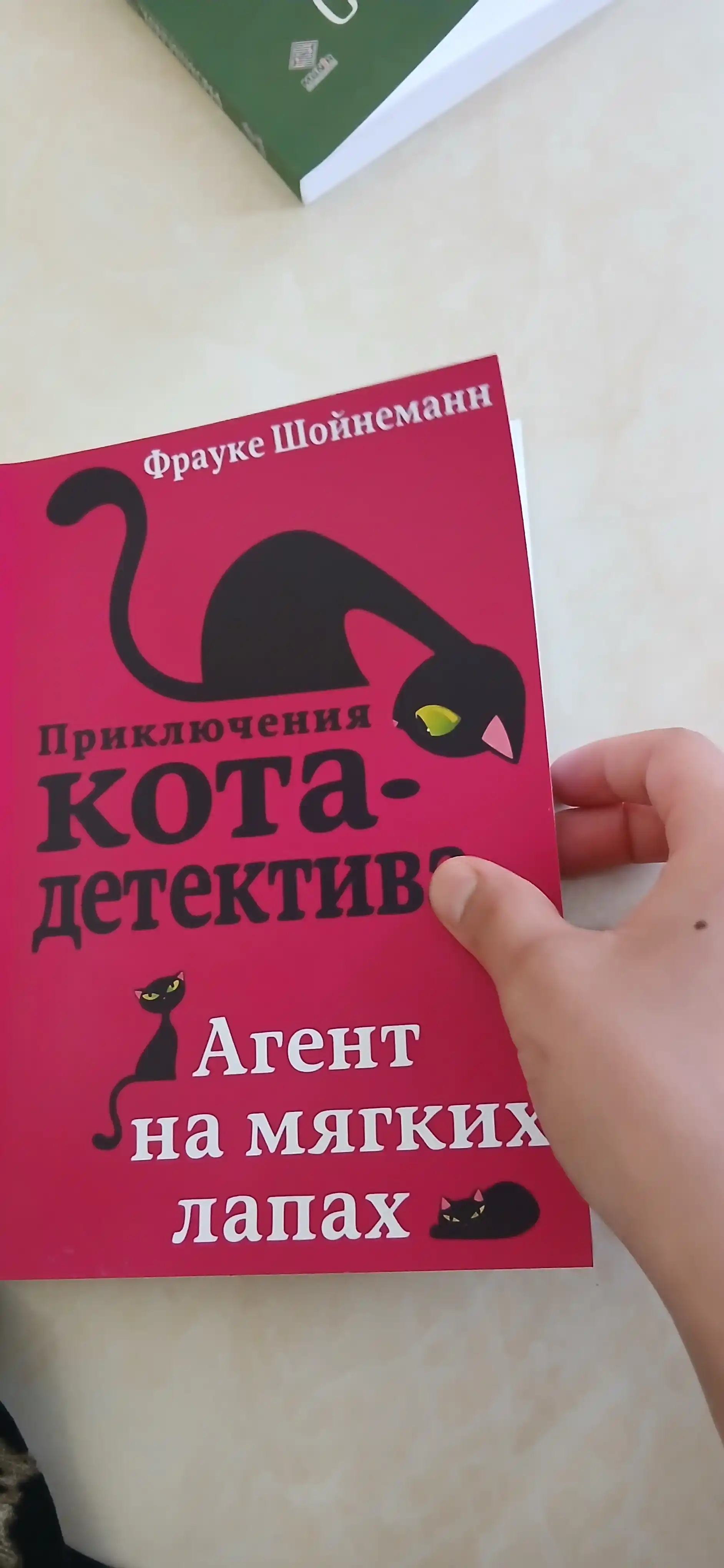 Фрауке Шойнеманн "Приключения кота-детектива"