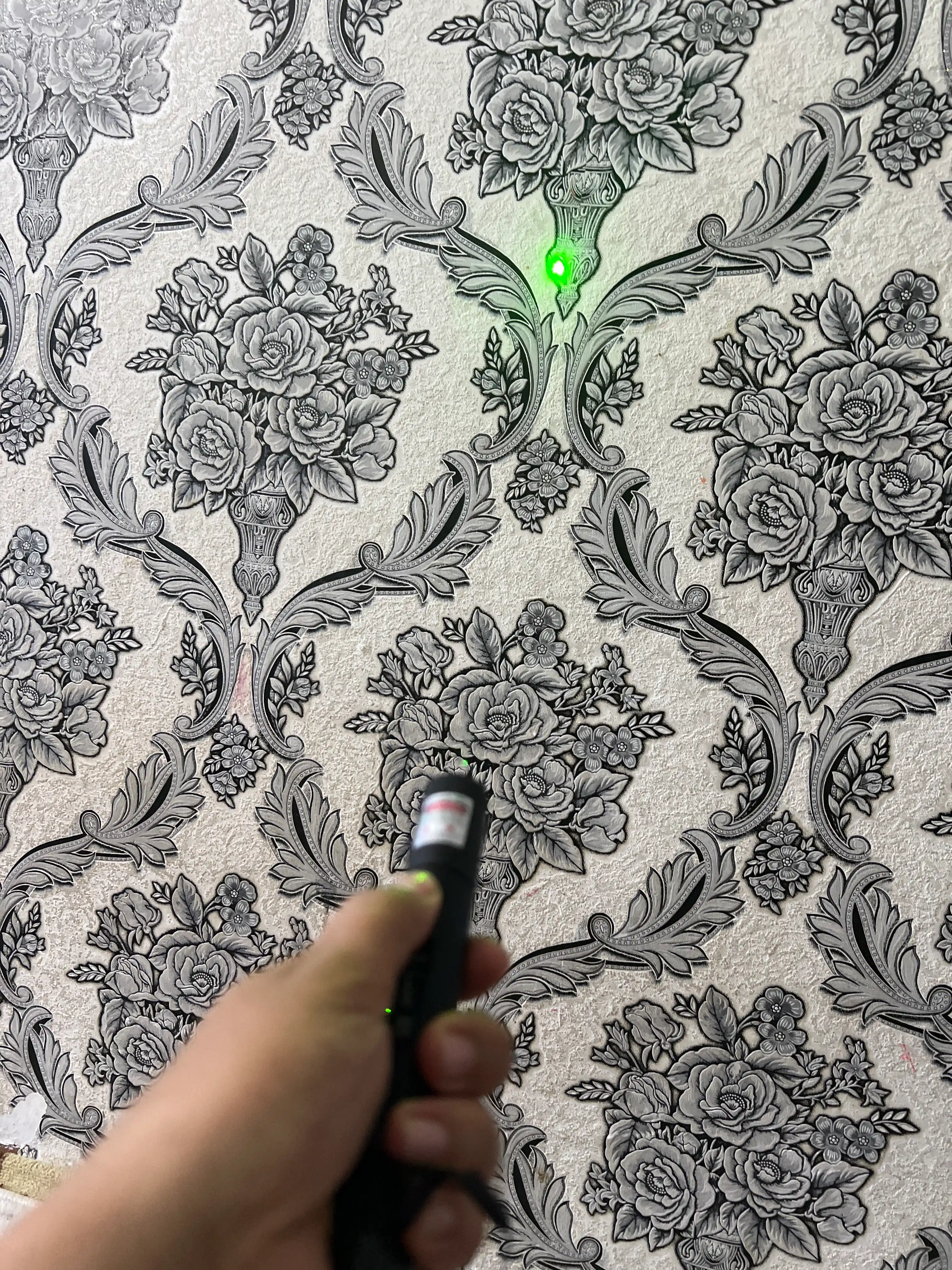 Yashil lazer 303 - 2-5 km gacha, taqdimot, tabiat, o'yinlar uchun