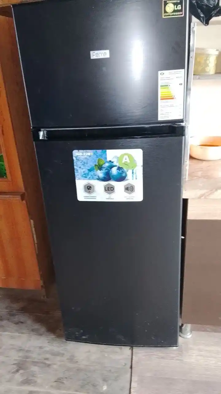Холодильник Ferre BCD-275, 225 л, 2 камеры, компрессор LG, Defrost, 3 цвета