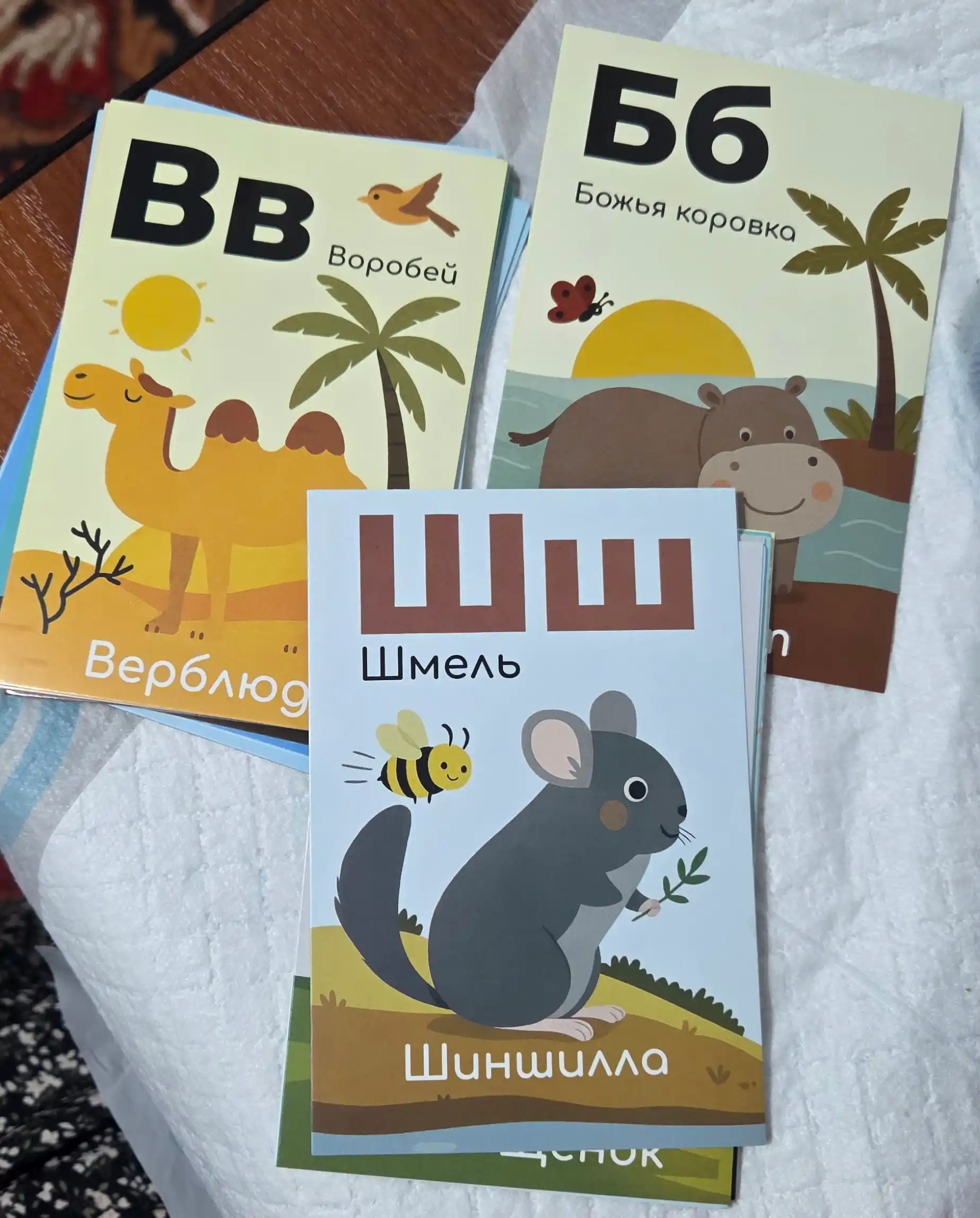Алифбо карточкалар инглизча, русча, арабча, ўзбекча ва рақамлар