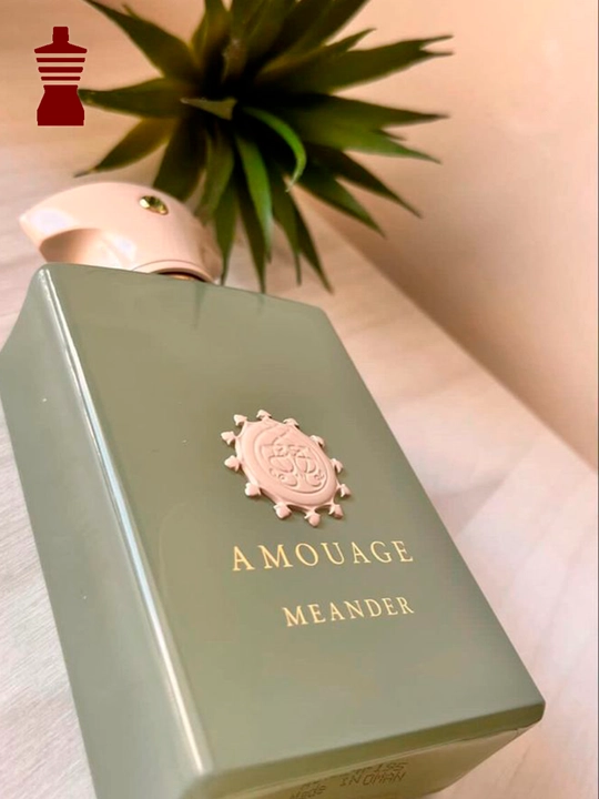 Amouage Guidance, Guidance 46, Sunshine, Honour, Existence 100 мл унисекс парфюм