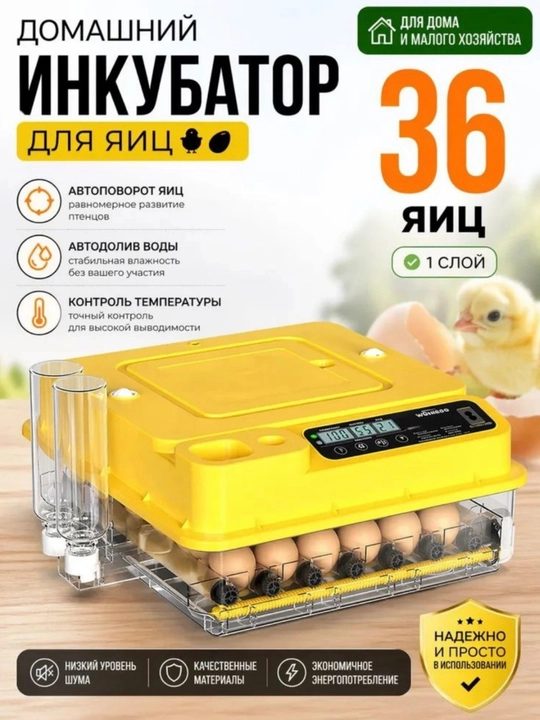 Инкубатор для яиц 220В/12В с автопереворотом и увлажнением — умный инкубатор для цыплят