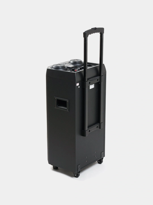 Katta simsiz kolonka AVCROWNS, 2 ta mikrofonli karaoke, bluetooth karnay, portativ kalonka